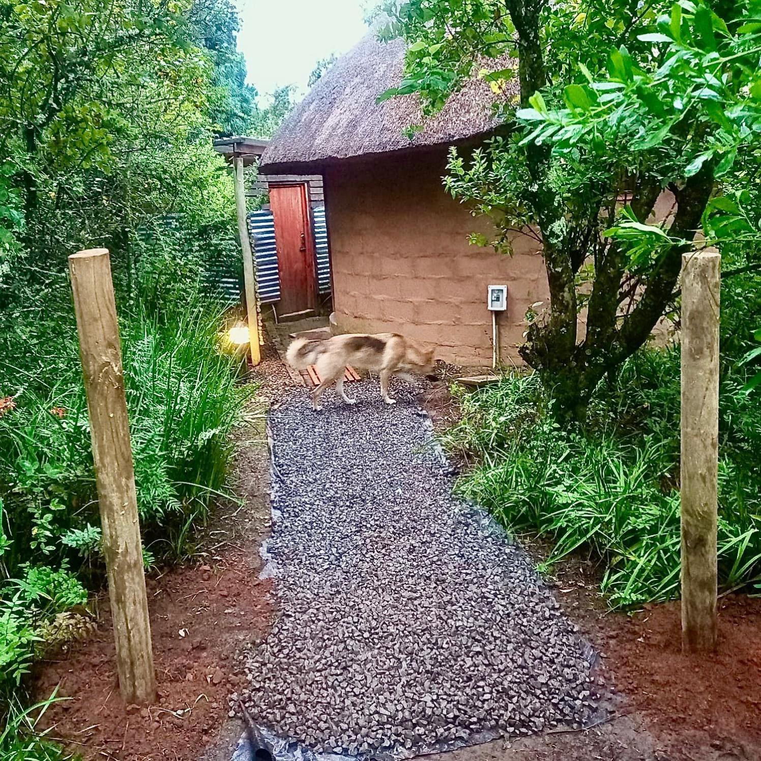Drakensberg Inkosana Lodge Champagne Valley Екстериор снимка