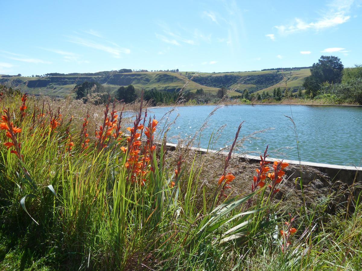 Drakensberg Inkosana Lodge Champagne Valley Екстериор снимка
