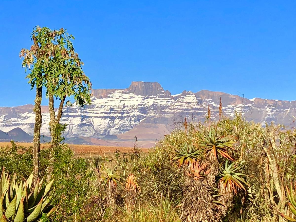 Drakensberg Inkosana Lodge Champagne Valley Екстериор снимка