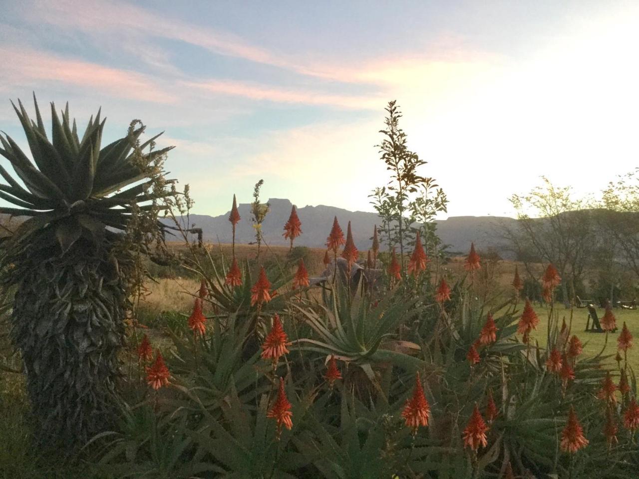 Drakensberg Inkosana Lodge Champagne Valley Екстериор снимка